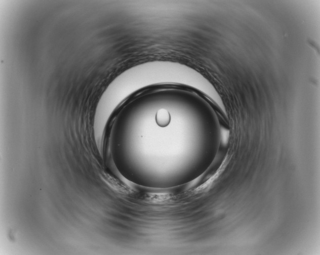 X0000099430186200805091258