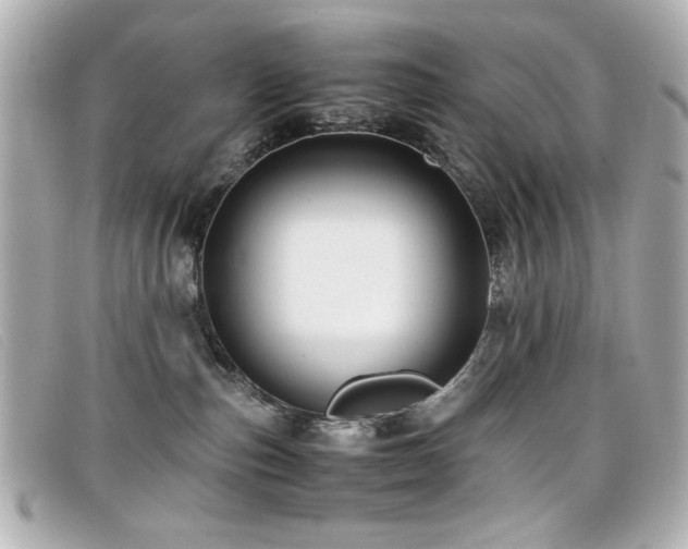 X0000099430187200805091258
