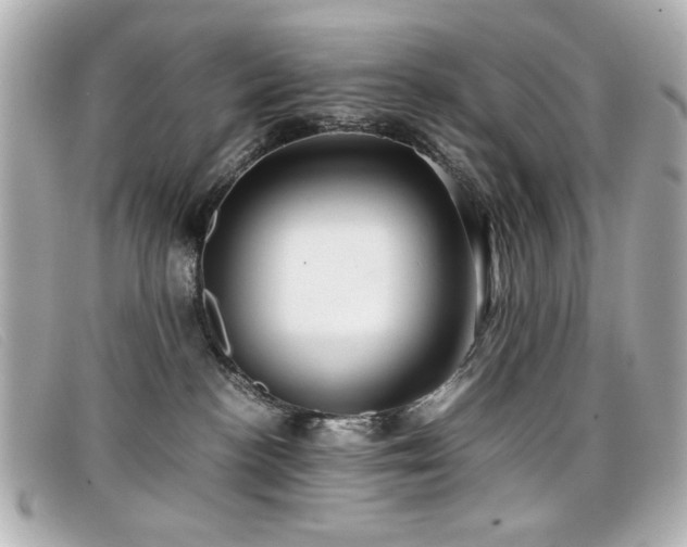 X0000099430188200805091258