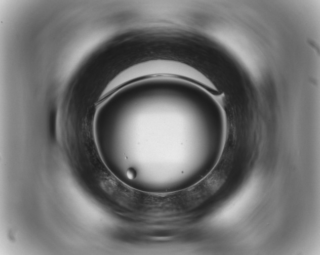 X0000099430189200805091258