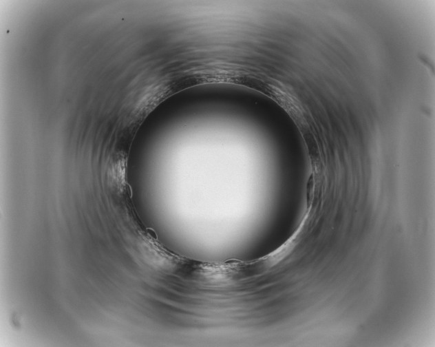 X0000099430190200805091258