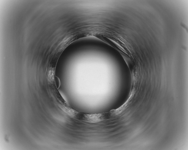 X0000099430191200805091258