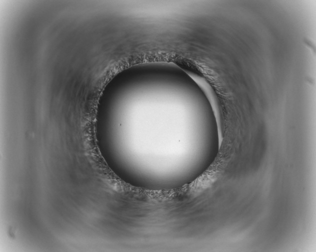 X0000099430192200805091258