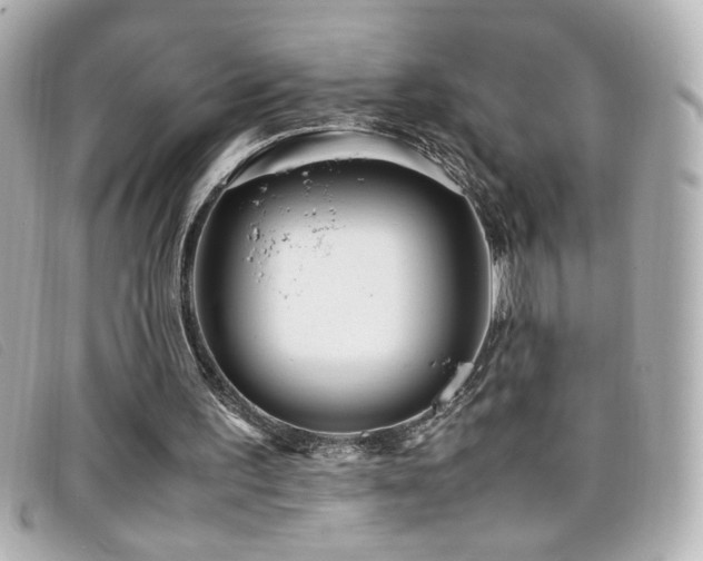 X0000099430195200805091257