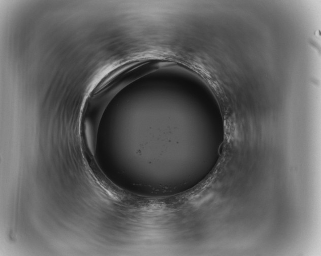 X0000099430196200805091257