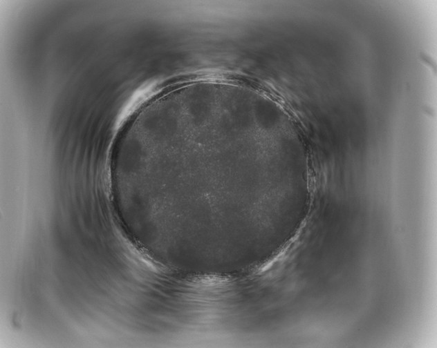 X0000099430198200805091257