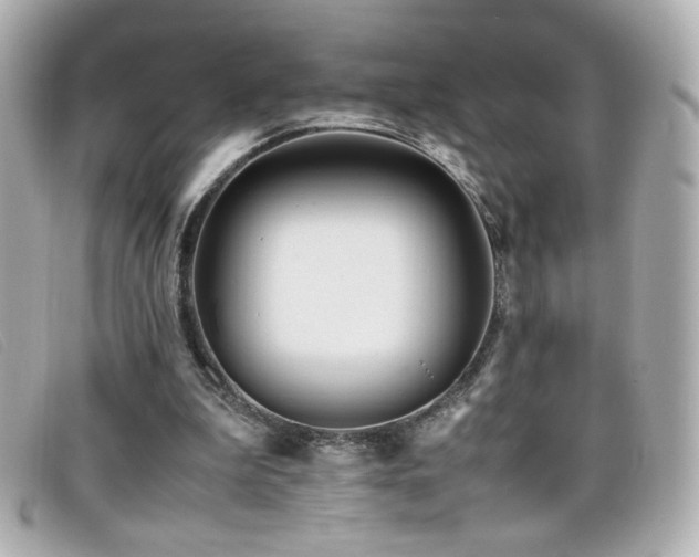 X0000099430199200805091257