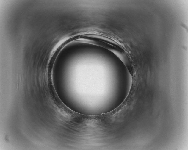 X0000099430200200805091257