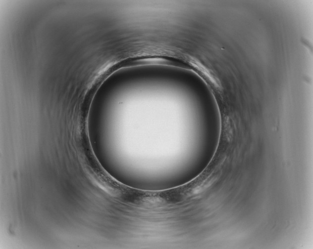 X0000099430203200805091257