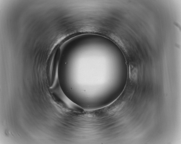 X0000099430204200805091257