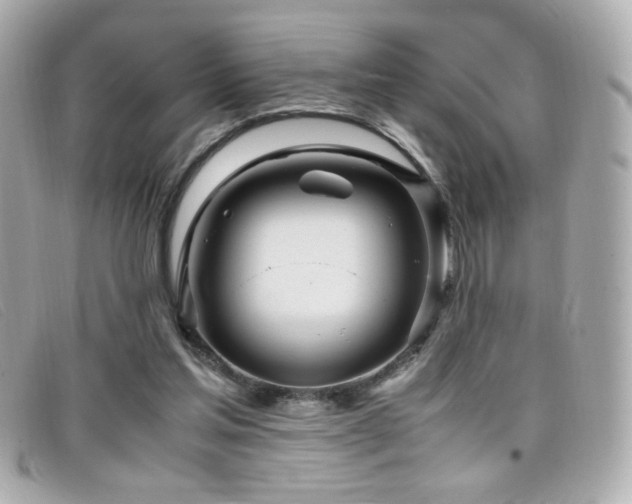X0000099430205200805091257