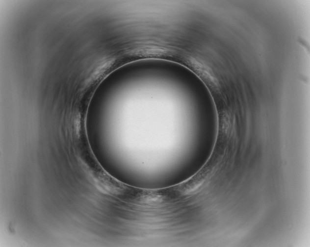 X0000099430206200805091257