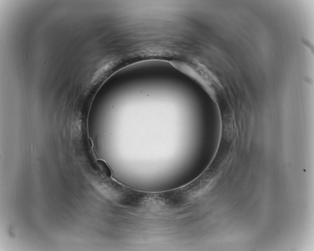 X0000099430207200805091257