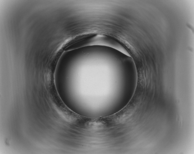 X0000099430208200805091257