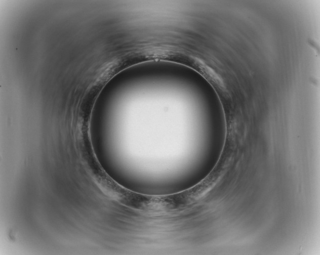X0000099430209200805091257