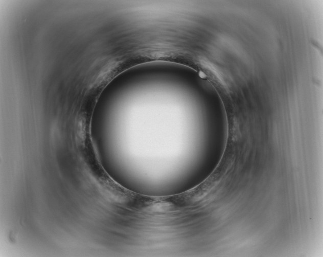 X0000099430210200805091257