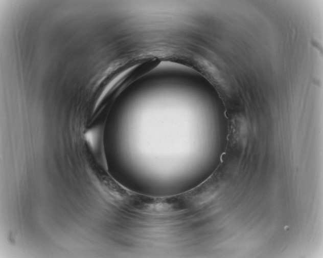 X0000099430212200805091257