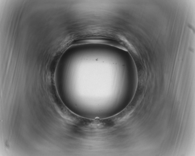 X0000099430213200805091257