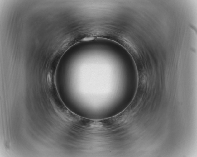 X0000099430214200805091257