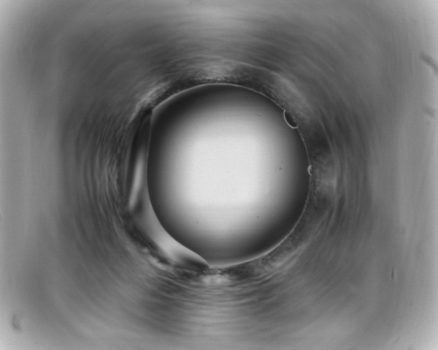 X0000099430216200805091257