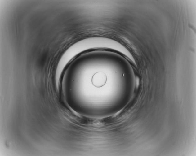 X0000099430217200805091257