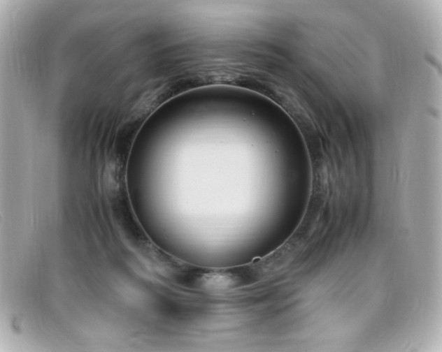 X0000099430218200805091257