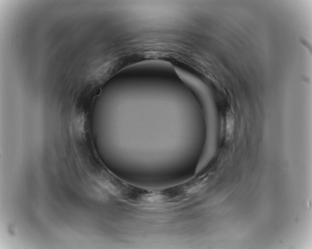 X0000099430219200805091257