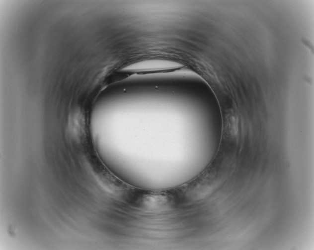 X0000099430220200805091257