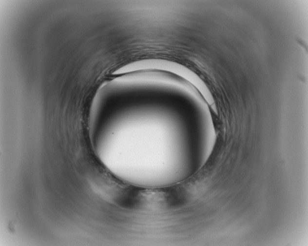 X0000099430221200805091257