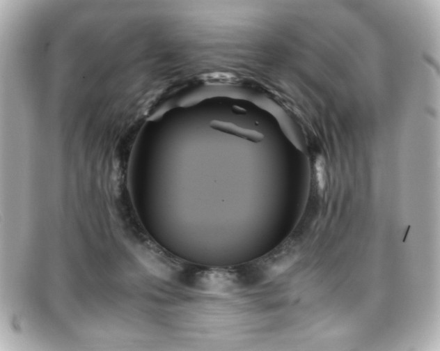 X0000099430223200805091257