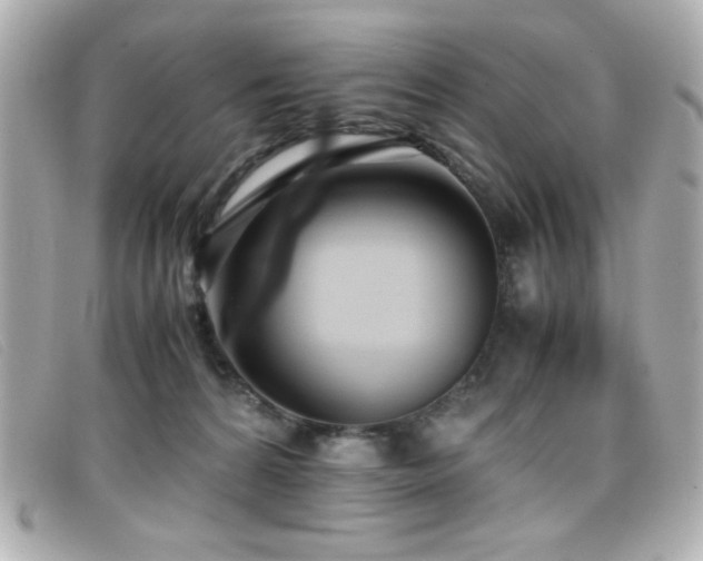 X0000099430224200805091257