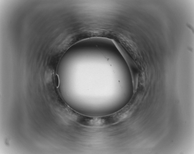X0000099430225200805091257