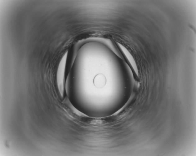X0000099430227200805091257
