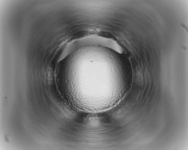 X0000099430228200805091257