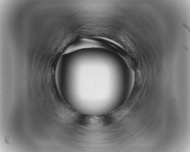 X0000099430229200805091257