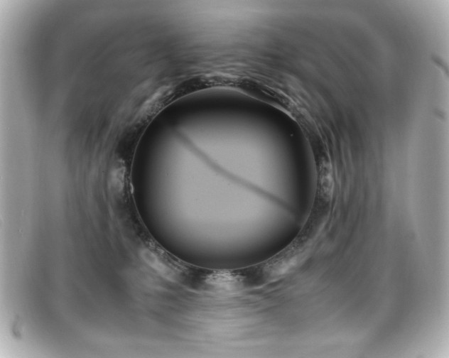 X0000099430231200805091257