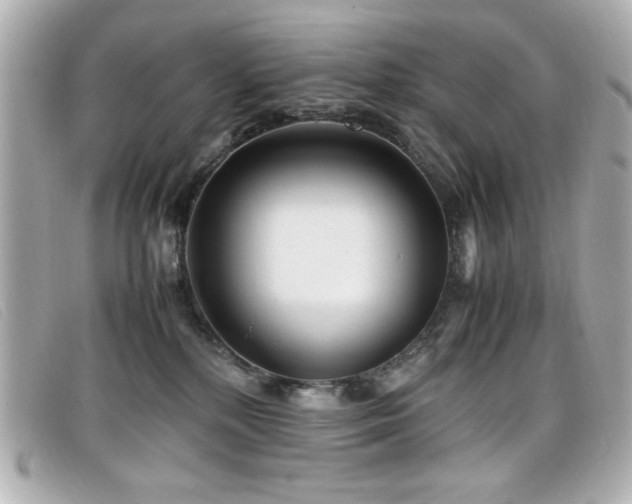 X0000099430232200805091257