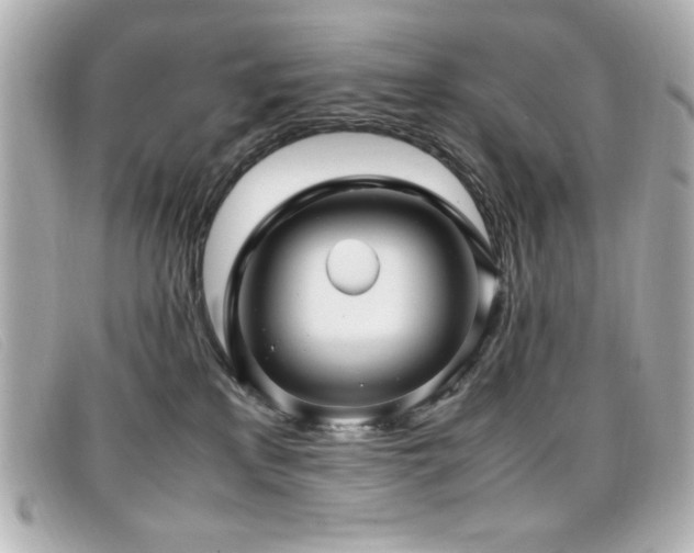 X0000099430233200805091257