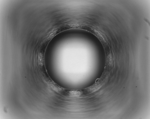X0000099430234200805091257