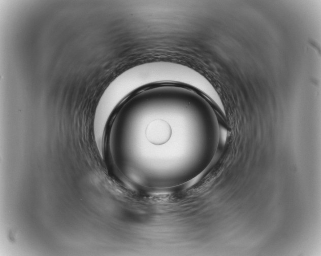 X0000099430235200805091257