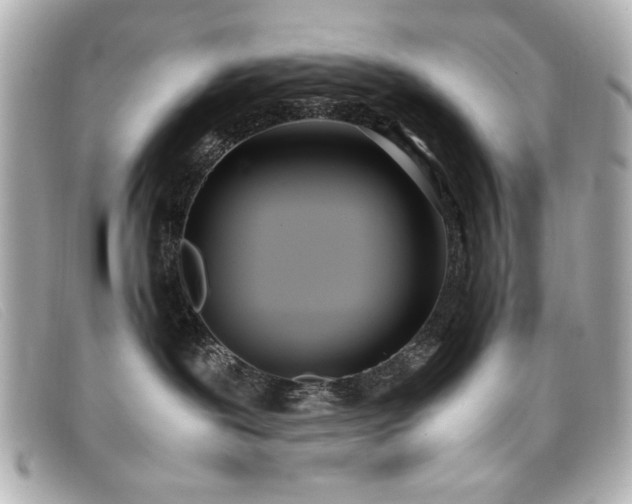 X0000099430239200805091257