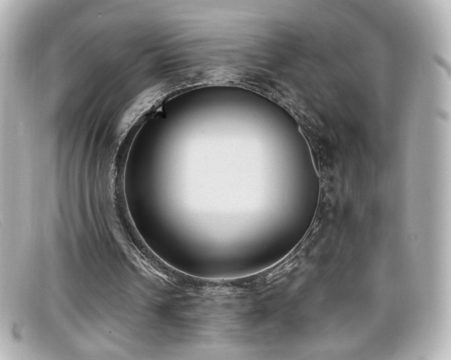 X0000099430242200805091256