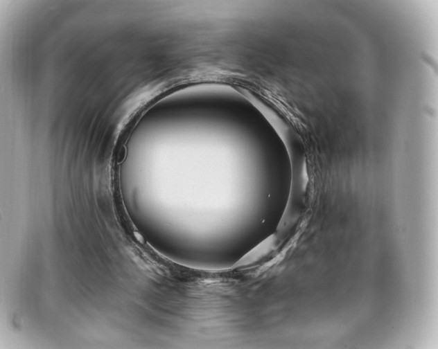 X0000099430244200805091256