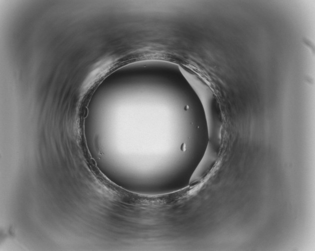 X0000099430245200805091256