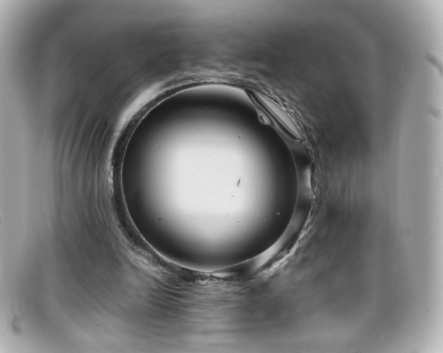 X0000099430246200805091256