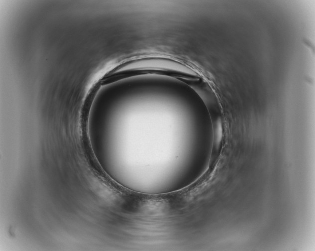 X0000099430248200805091256