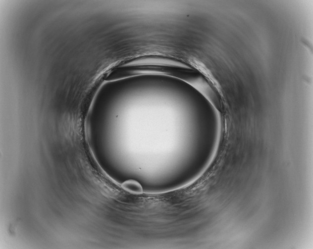 X0000099430249200805091256