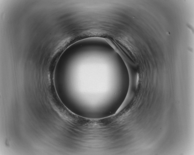 X0000099430254200805091256