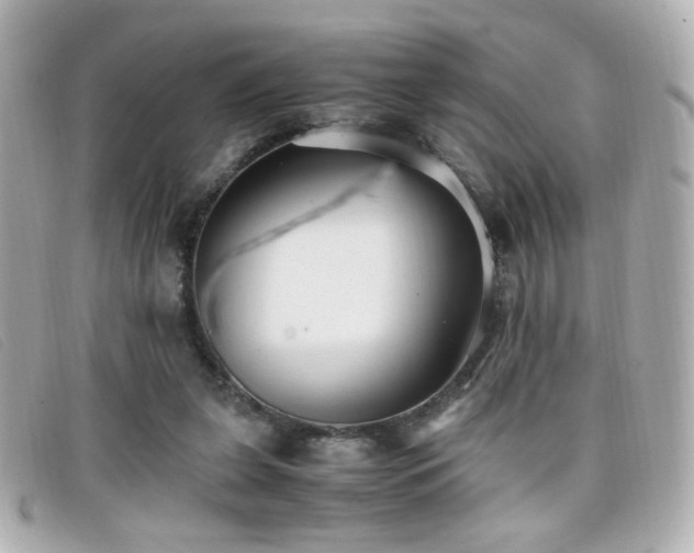 X0000099430255200805091256