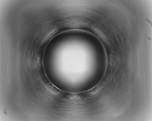 X0000099430258200805091256